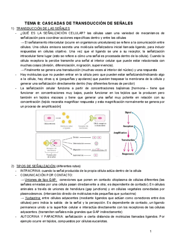 Miniatura del documento BIOQUIMICA-TEMA8.pdf