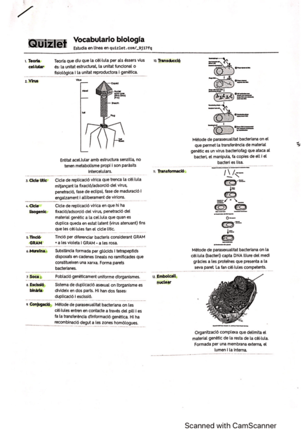 Miniatura del documento GLOSSARI-CLAU-BIOLOGIA-PAU.pdf