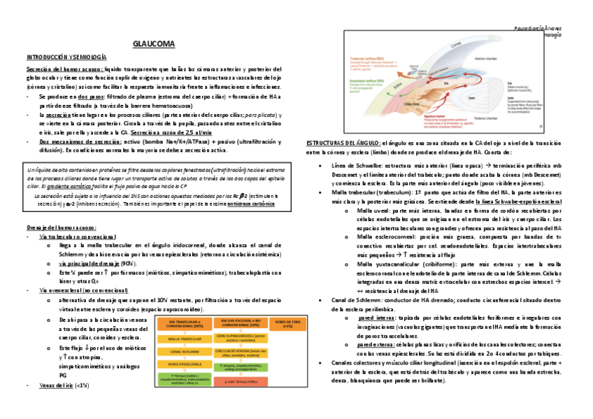 Miniatura del documento GLAUCOMA.pdf