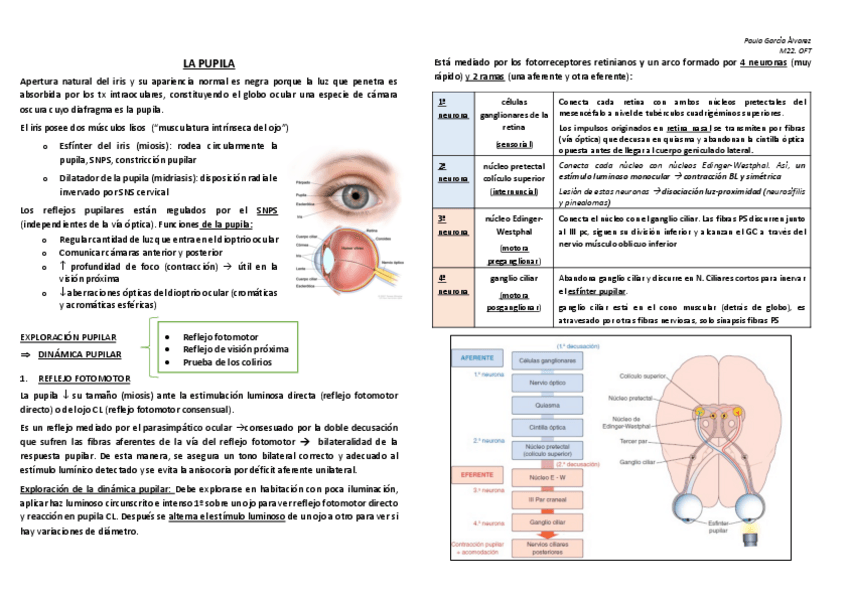 Miniatura del documento PUPILA.pdf