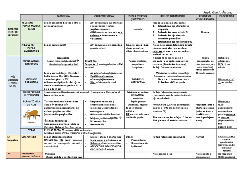 Miniatura del documento RESUMEN-PUPILA.pdf