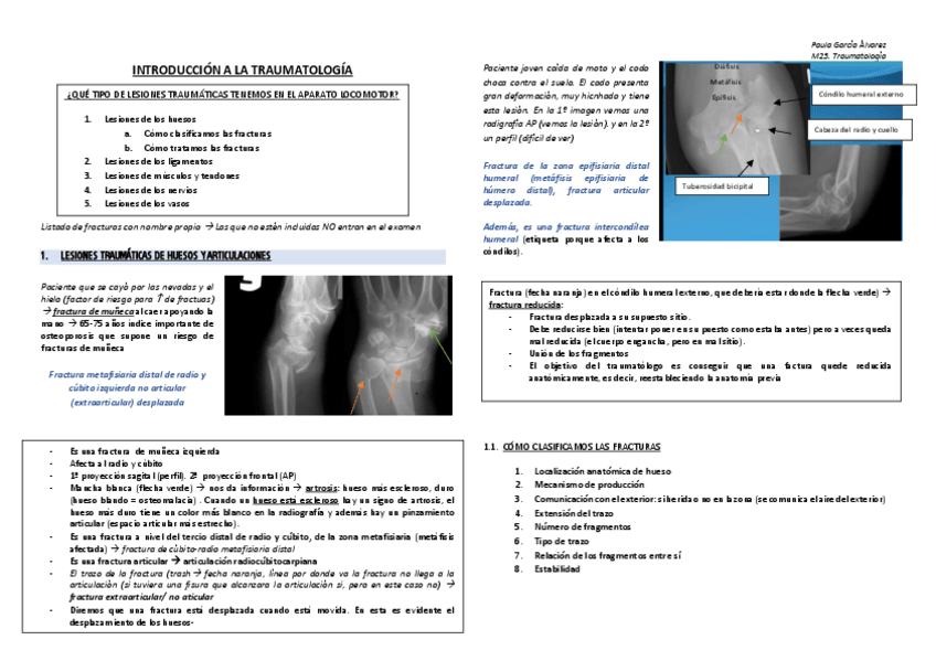 Miniatura del documento INTRO-TRAUMA.pdf