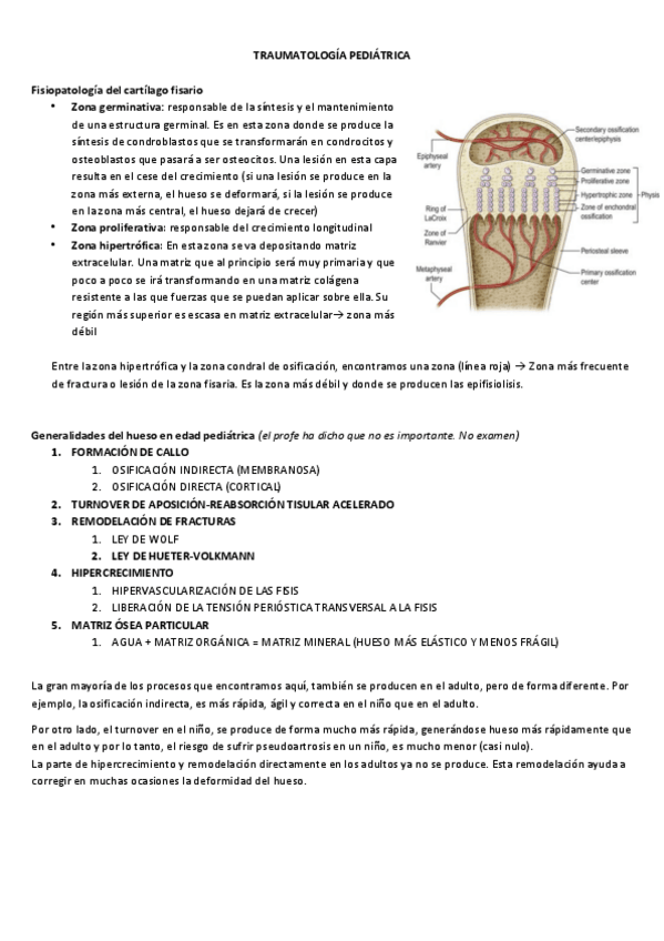 Miniatura del documento TRAUMATOLOGIA-PEDIATRICA.pdf
