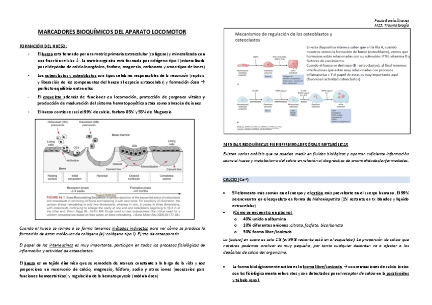 Miniatura del documento MARCADORES-BIOQUIMICOS-DEL-APARATO-LOCOMOTOR.pdf