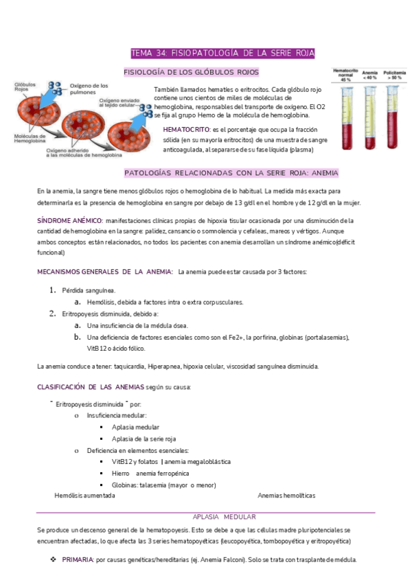 Miniatura del documento T34-FINAL-FISIO.pdf