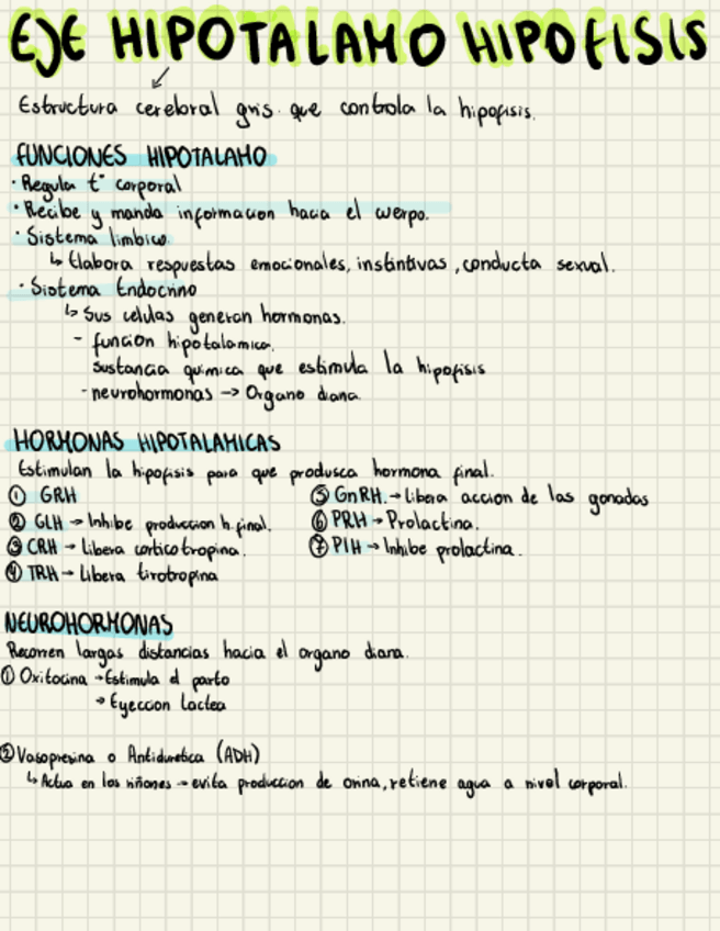 Miniatura del documento eje-hipotalamo-hipofisis-glicemia.pdf