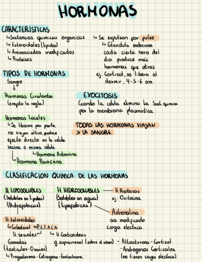 Miniatura del documento Hormonas.pdf