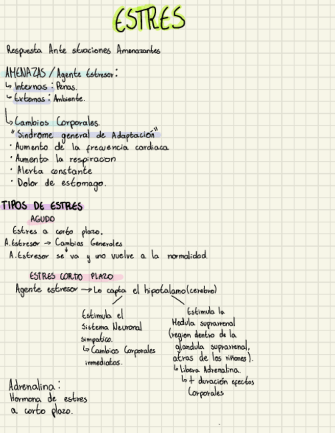 Miniatura del documento Estres.pdf