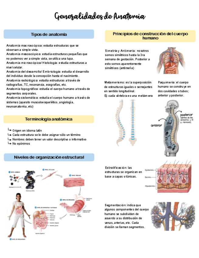 Miniatura del documento 1.-Generalidades-anatomicas.pdf