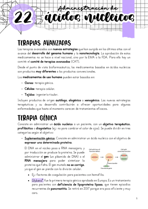 Miniatura del documento Tema-22.-Acidos-nucleicos.pdf
