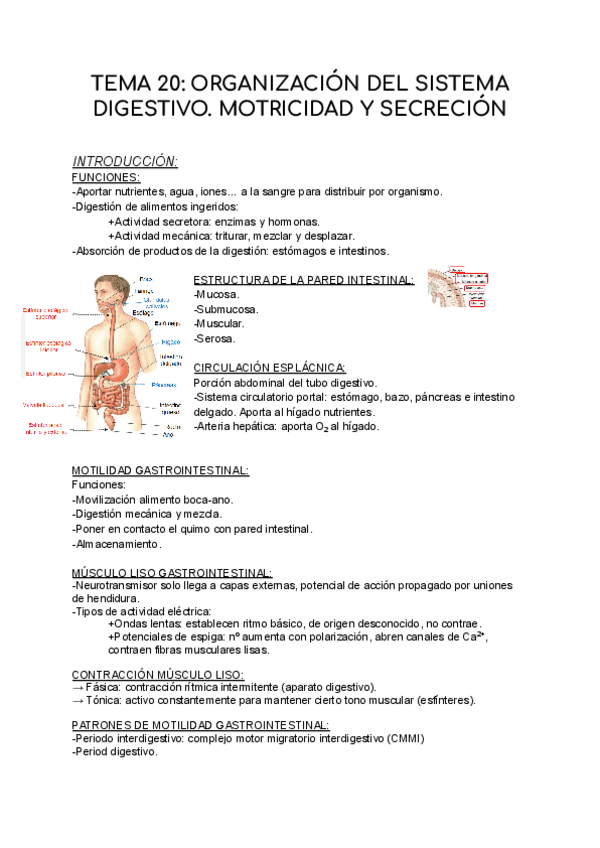 Miniatura del documento T20-FISIOLOGIA.pdf