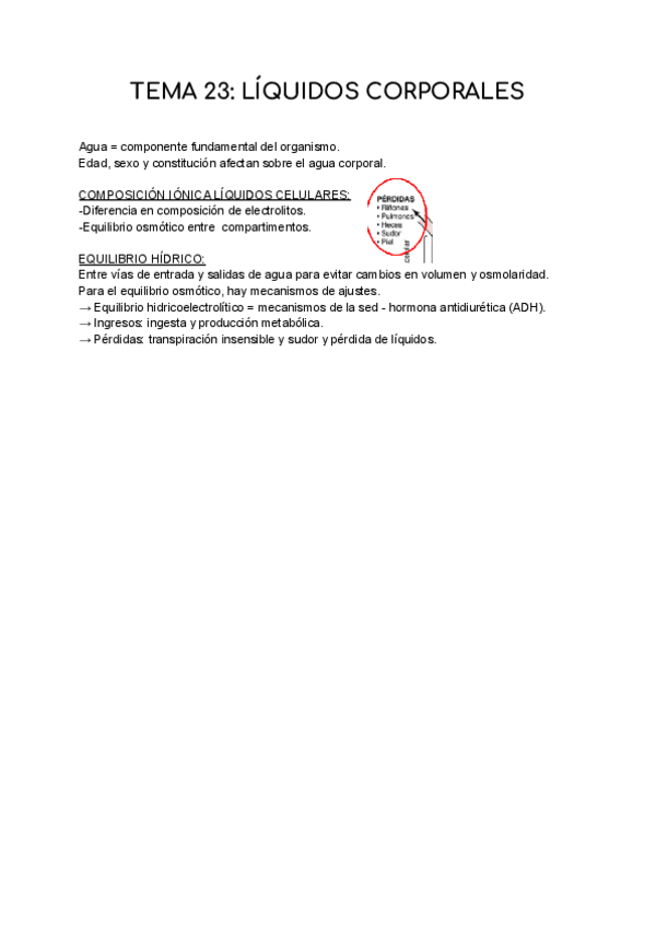 Miniatura del documento T23-FISIOLOGIA.pdf