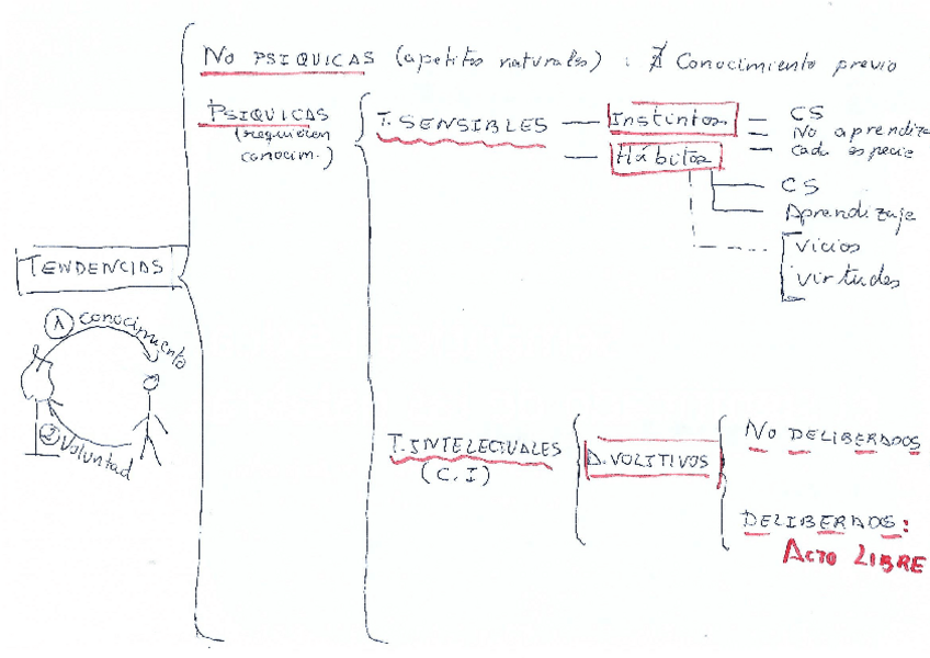 Miniatura del documento Esquema-tendencias.pdf