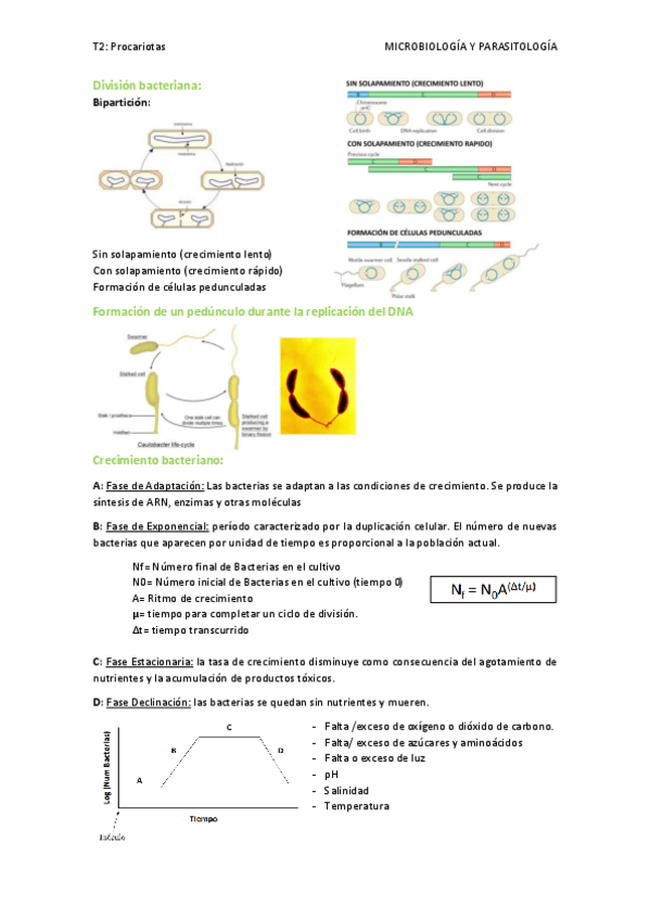 Miniatura del documento T2.-Procariotas.pdf