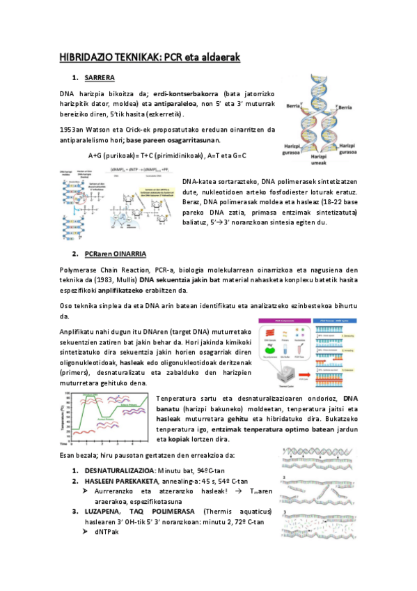 Miniatura del documento HIBRIDAZIO-TEKNIKAK.pdf