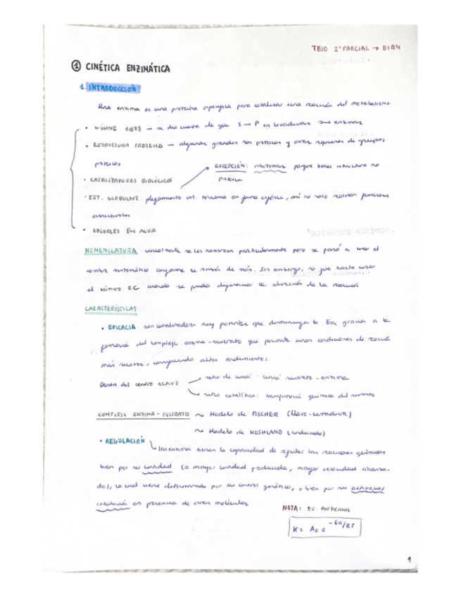 Miniatura del documento Teoría 2o parcial.pdf