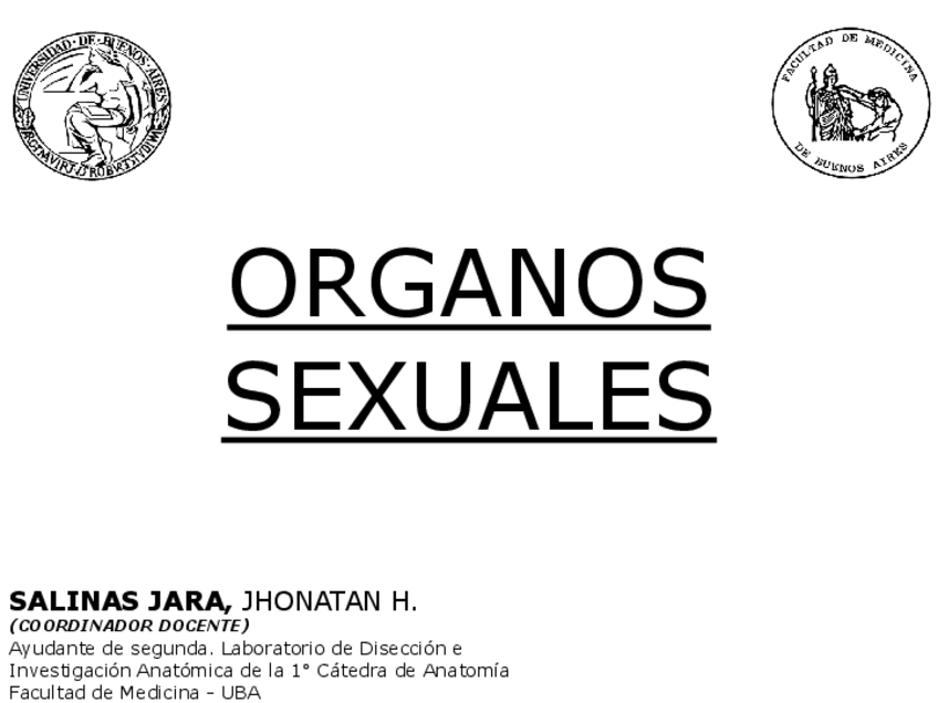 Miniatura del documento 06-ORGANOS-SEXUALES-J.H.S.J.pdf