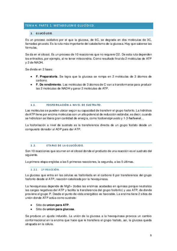 Miniatura del documento Bioquimica-II-tema-4-met.-glucidico.pdf