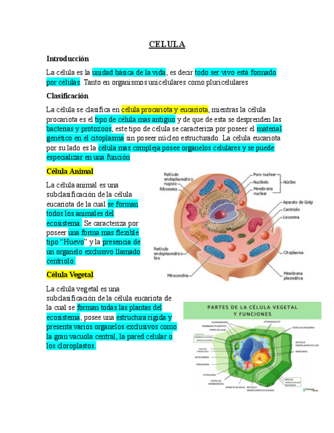 Miniatura del documento CELULA.pdf