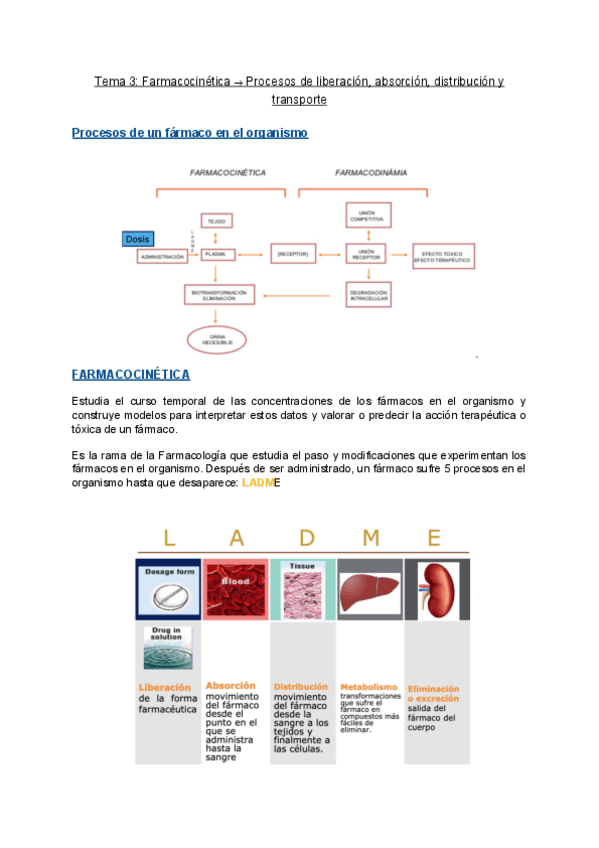 Miniatura del documento Tema-3-Farmacocinetica-Procesos-de-liberacion-absorcion-distribucion-y-transporte.pdf