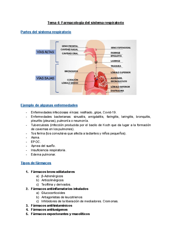 Miniatura del documento Tema-4-Farmacologia-del-sistema-respiratorio.pdf