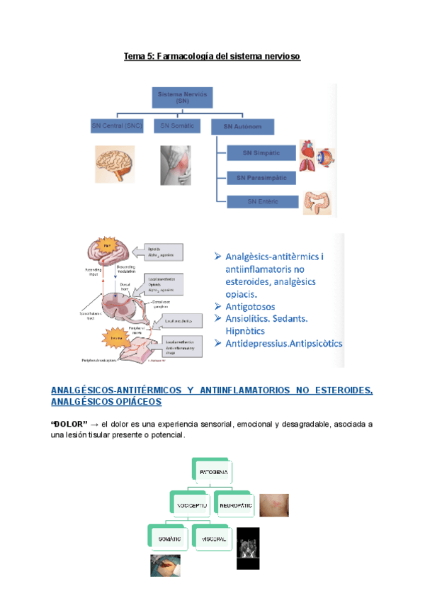 Miniatura del documento Tema-5-Farmacologia-del-sistema-nervioso.pdf
