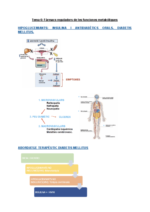 Miniatura del documento Tema-6-Farmacs-reguladors-de-les-funciones-metaboliques.pdf