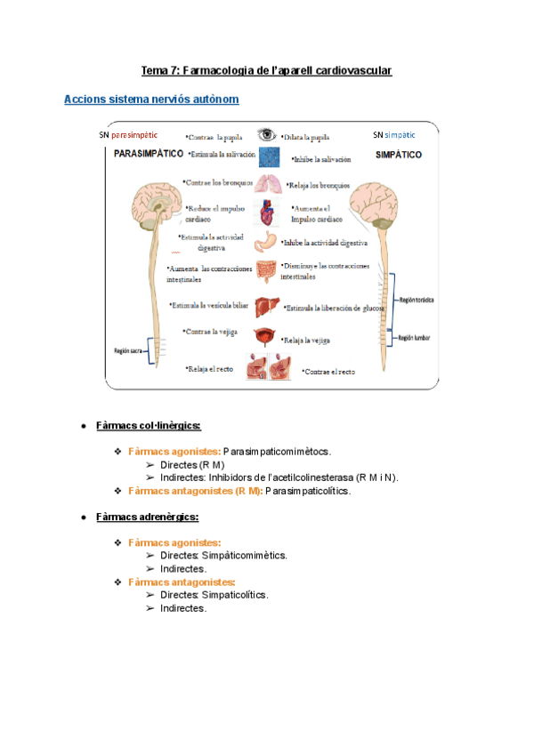 Miniatura del documento Tema-7-Farmacologia-de-laparell-cardiovascular.pdf
