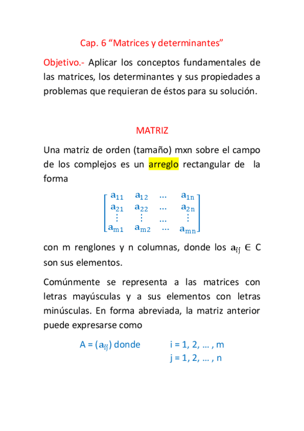 Miniatura del documento Cap.-6-Matrices-y-determinantes.pdf