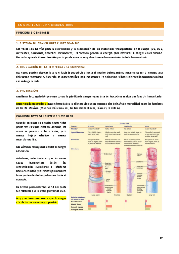 Miniatura del documento fisiologia-temas-21-33.pdf