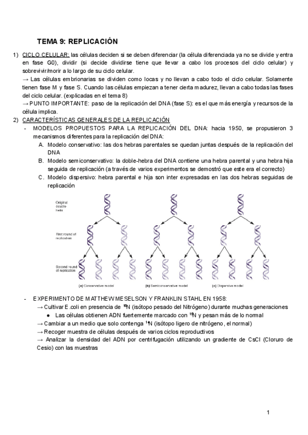 Miniatura del documento BIOQUIMICA-TEMA9.pdf