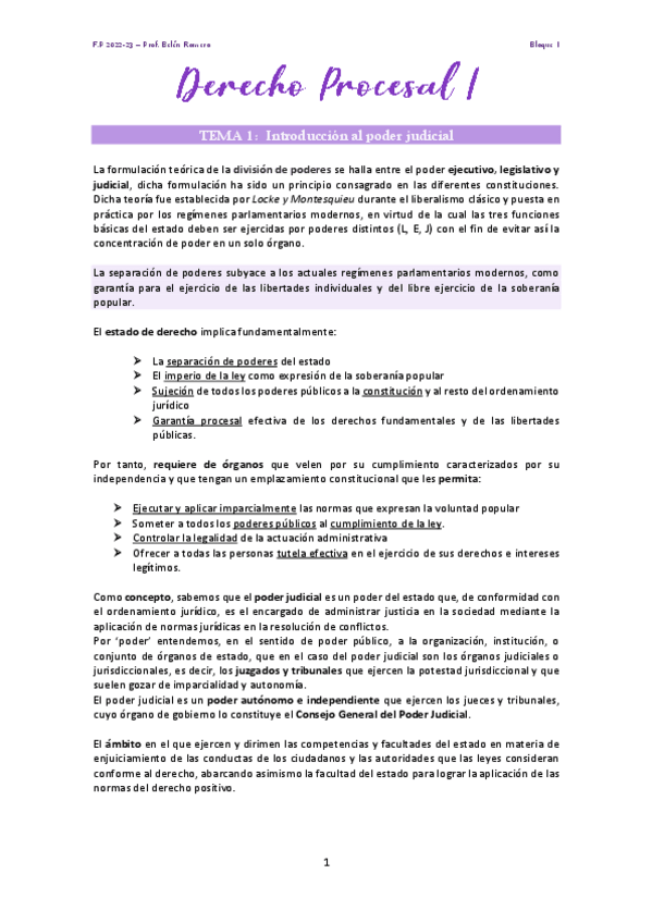Miniatura del documento PROCESAL-I-ENTERO-BelenRomero.pdf