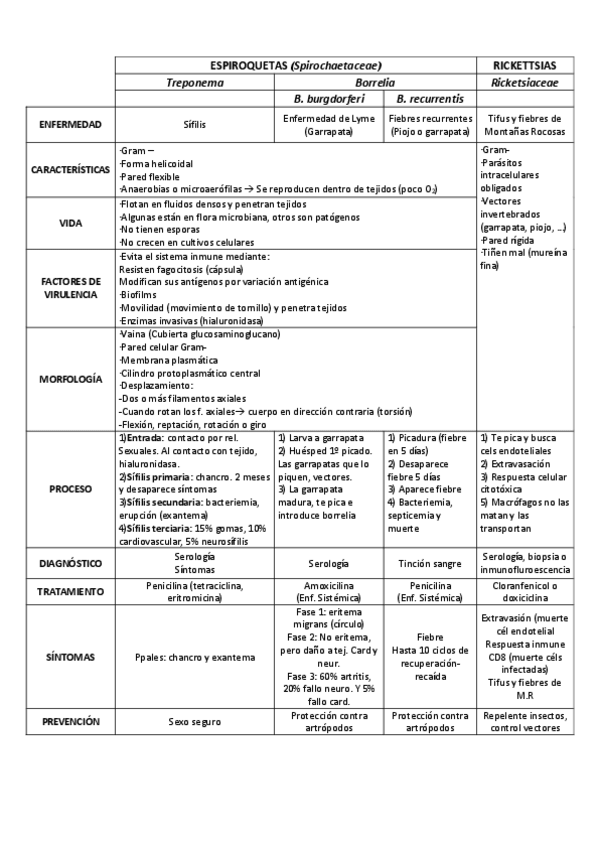 Miniatura del documento BACTERIAS-DIFERENCIADAS.pdf