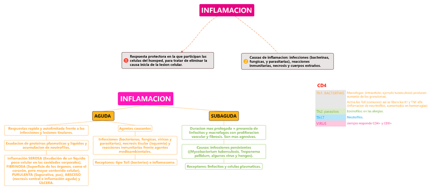 Miniatura del documento Inflamacion.pdf