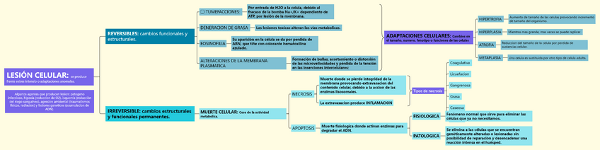Miniatura del documento LESION-CELULAR.pdf