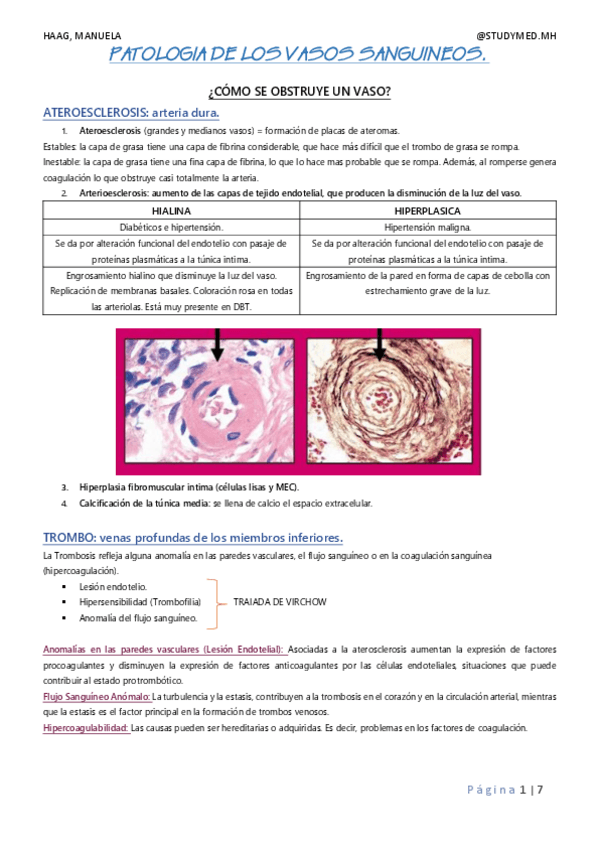 Miniatura del documento PATOLOGIA-DE-LOS-VASOS-SANGUINEOS.pdf