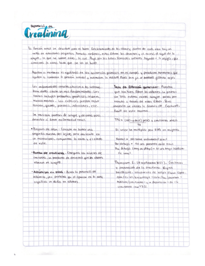 Miniatura del documento Depuracion-De-Creatinina.pdf