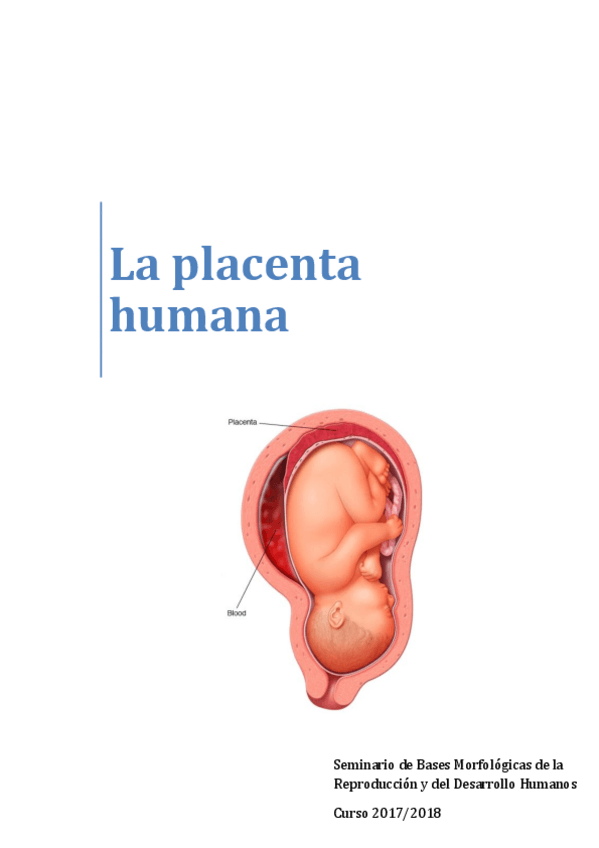 Miniatura del documento La-placenta-humana.pdf