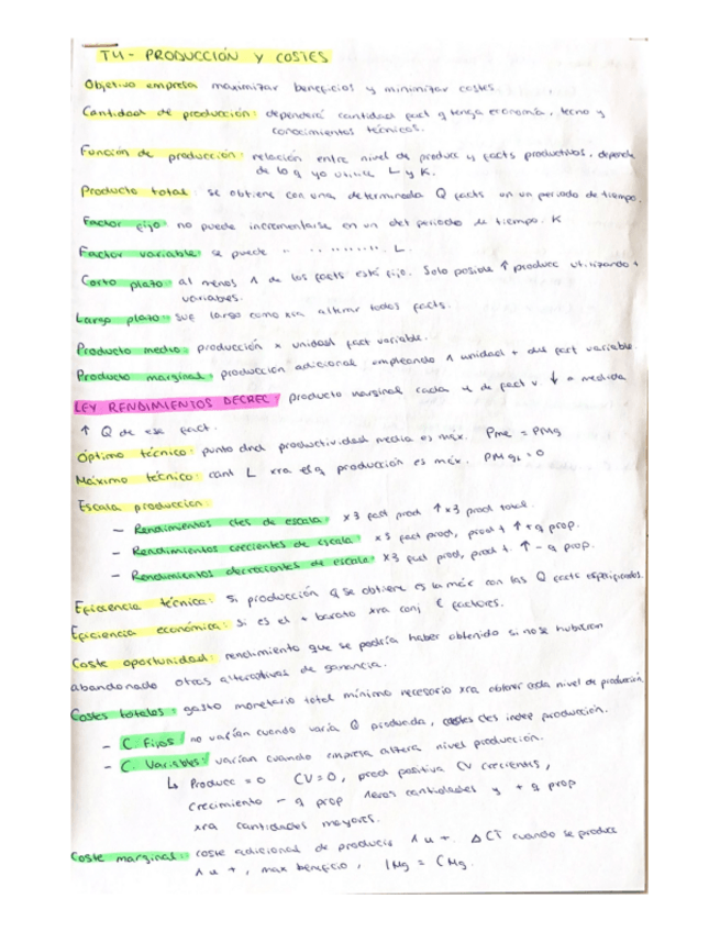 Miniatura del documento T4-PRODUCCION-Y-COSTES.pdf