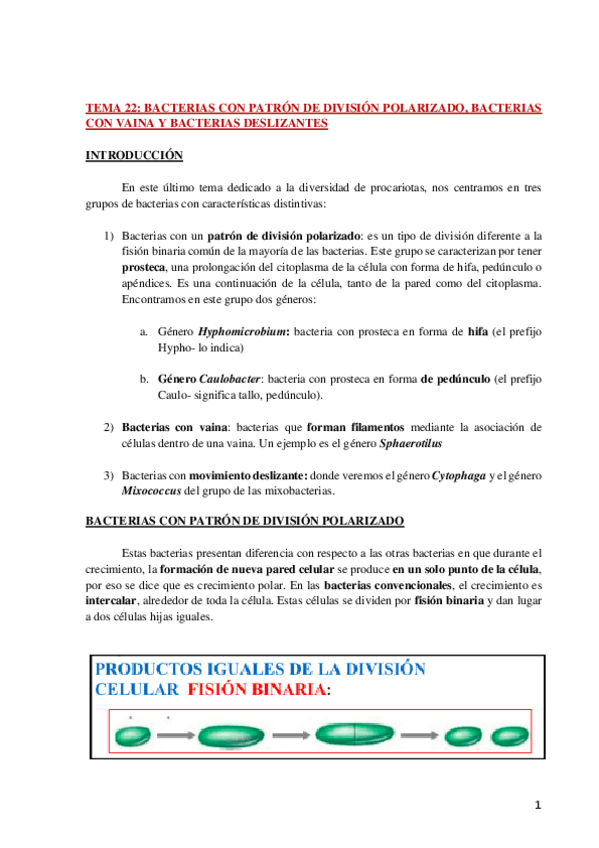Miniatura del documento AP-DIV.-MICRO-TEMA-22-WH.pdf