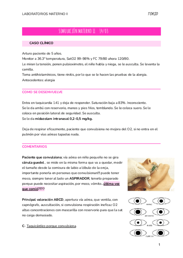 Miniatura del documento LABORATORIO-MATERNO-II.pdf