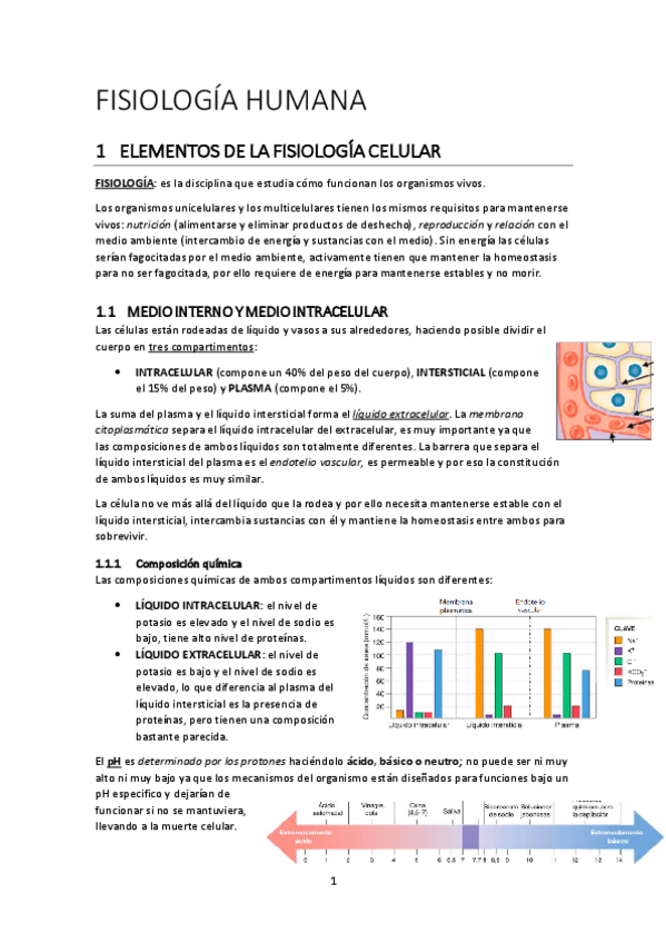 Miniatura del documento FISIOLOGIA-HUMANA.pdf