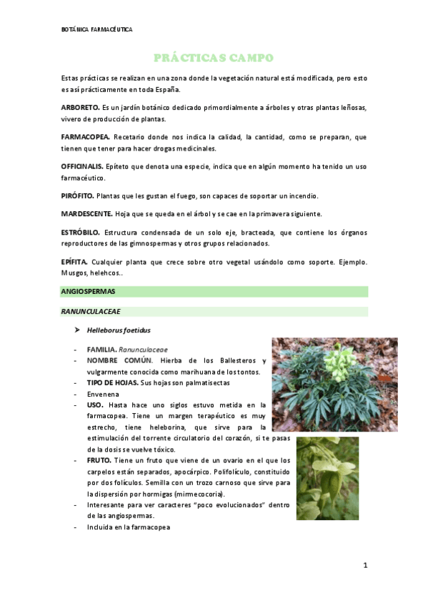 Miniatura del documento PRACTICAS-DE-CAMPO.pdf