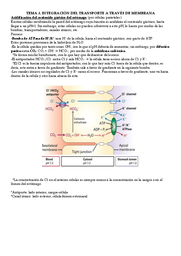 Miniatura del documento Vias-Senalizacion-BQDIN.pdf