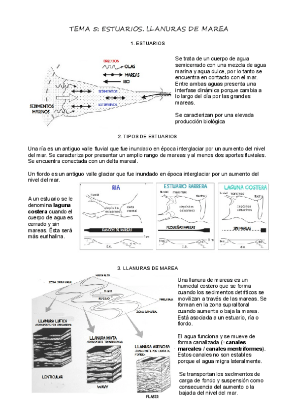 Miniatura del documento T5Estuarios.pdf