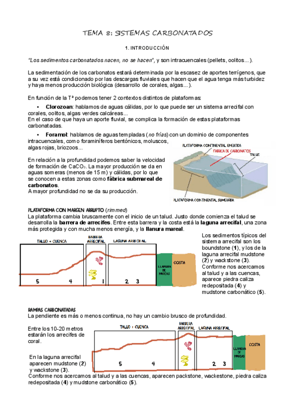 Miniatura del documento T8Sistemas-carbonatados.pdf