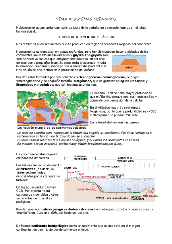 Miniatura del documento T9-Sistemas-oceanicos.pdf