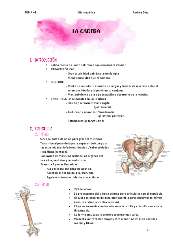 Miniatura del documento TEMA-4B-LA-CADERA.pdf