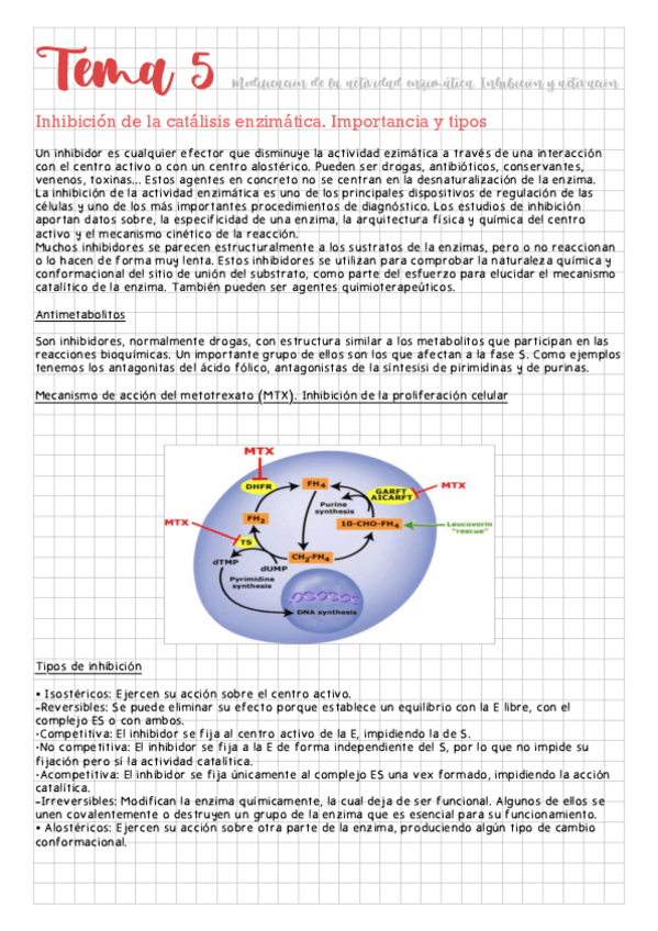 Miniatura del documento Tema-5-Modificacion-de-la-actividad-enzimatica.-Inhibicion-y-activacion.pdf