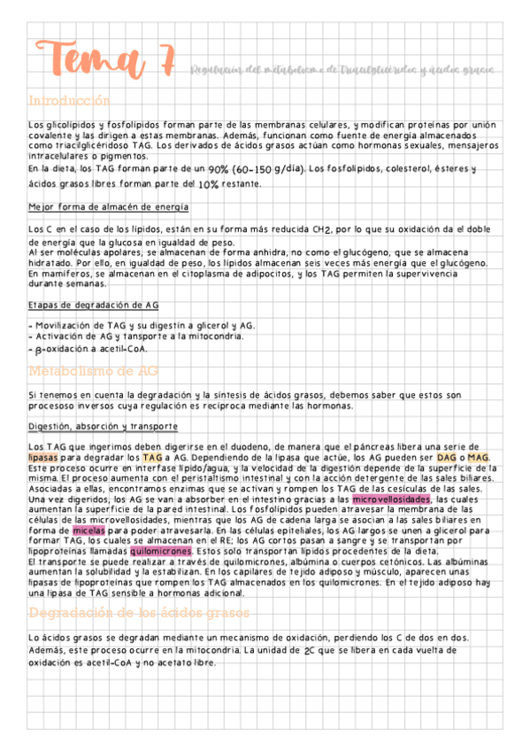 Miniatura del documento Tema-7-Regulacion-del-metabolismo-de-triacilgliceridos-y-acidos-grasos.pdf